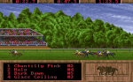 Screenshot from QuarterPole